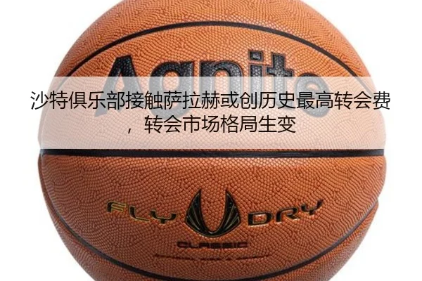 img_1792805135882_508_1_910.jpg